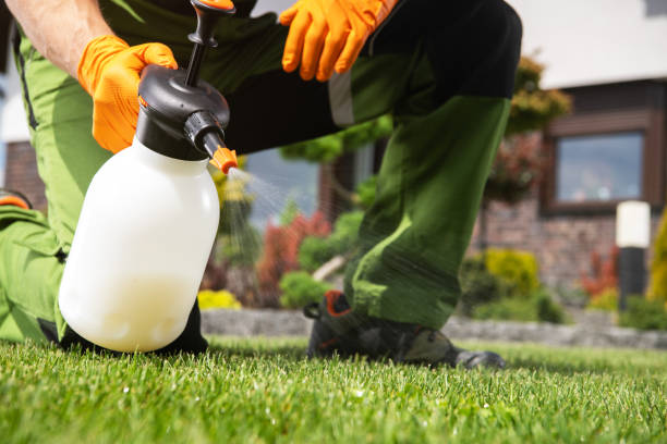 Best Rodent Control Near Me  in Hilliard, OH