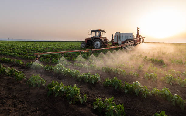Professional Pest Control in Hilliard, OH