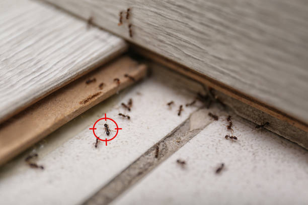 Best Commercial Pest Control Services  in Hilliard, OH