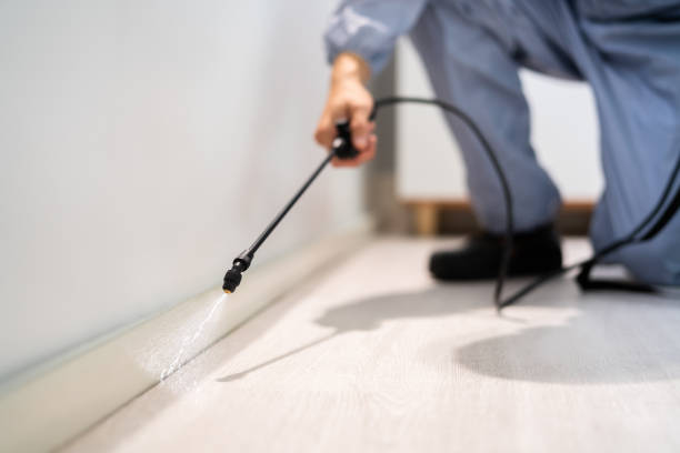 Pest Control Cost in Hilliard, OH