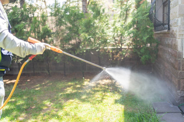 Best Termite Control Services  in Hilliard, OH