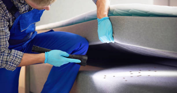 Best Pest Control Near Me  in Hilliard, OH