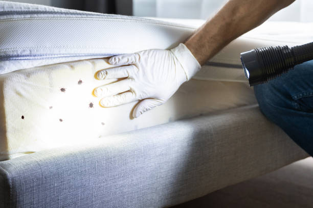 Best Emergency Pest Control  in Hilliard, OH