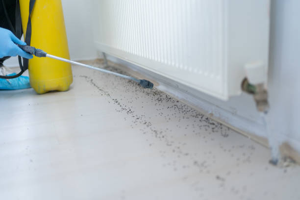 Best Pest Control Near Me in Hilliard, OH