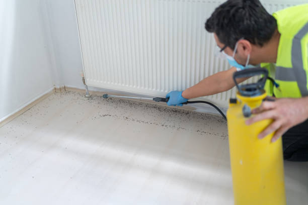 Best Bed Bug Extermination  in Hilliard, OH