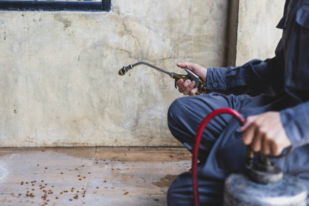 Best Pest Control Cost  in Hilliard, OH
